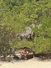 Beach club beach shady trees