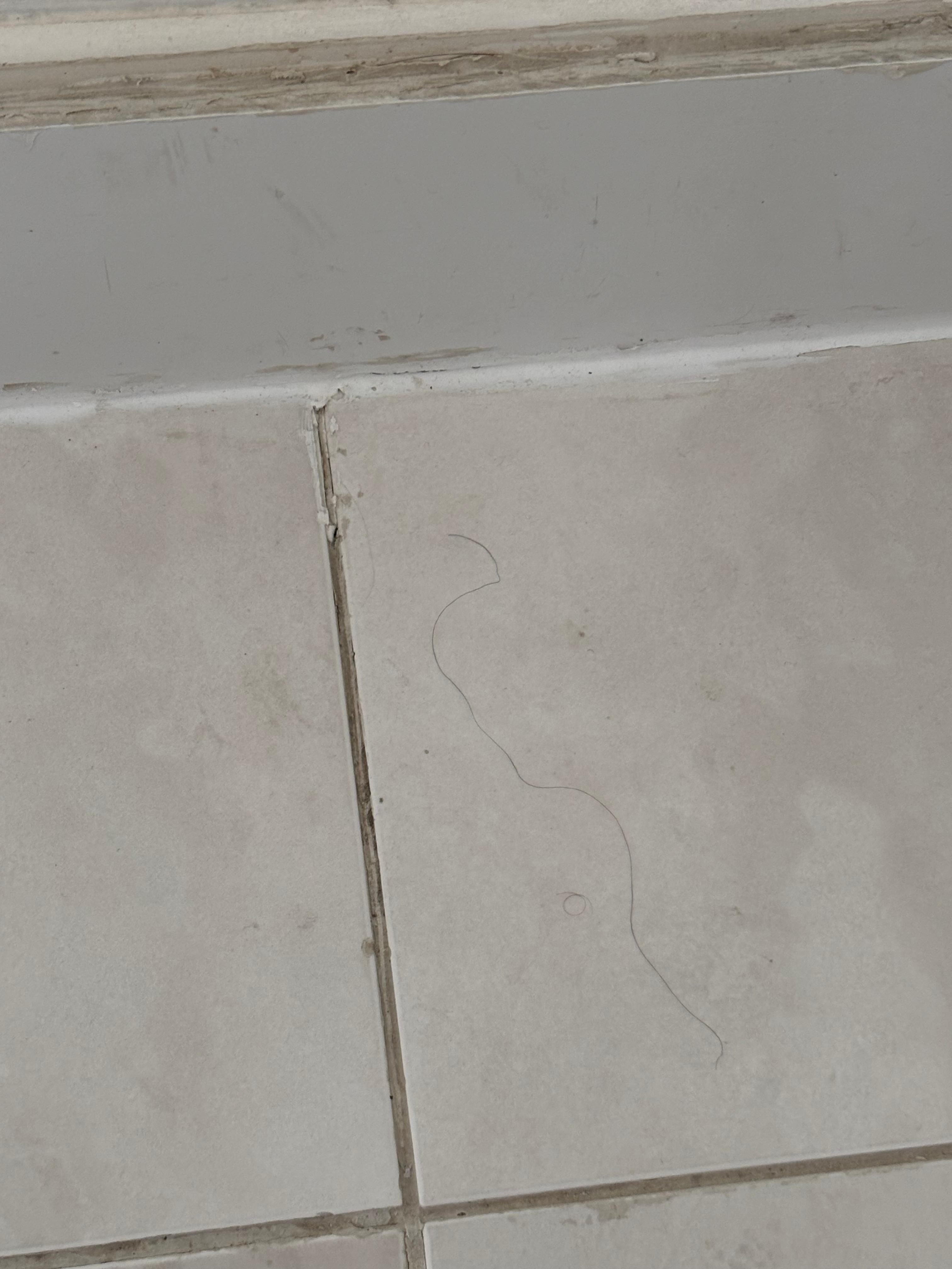 Obviously not cleaned.