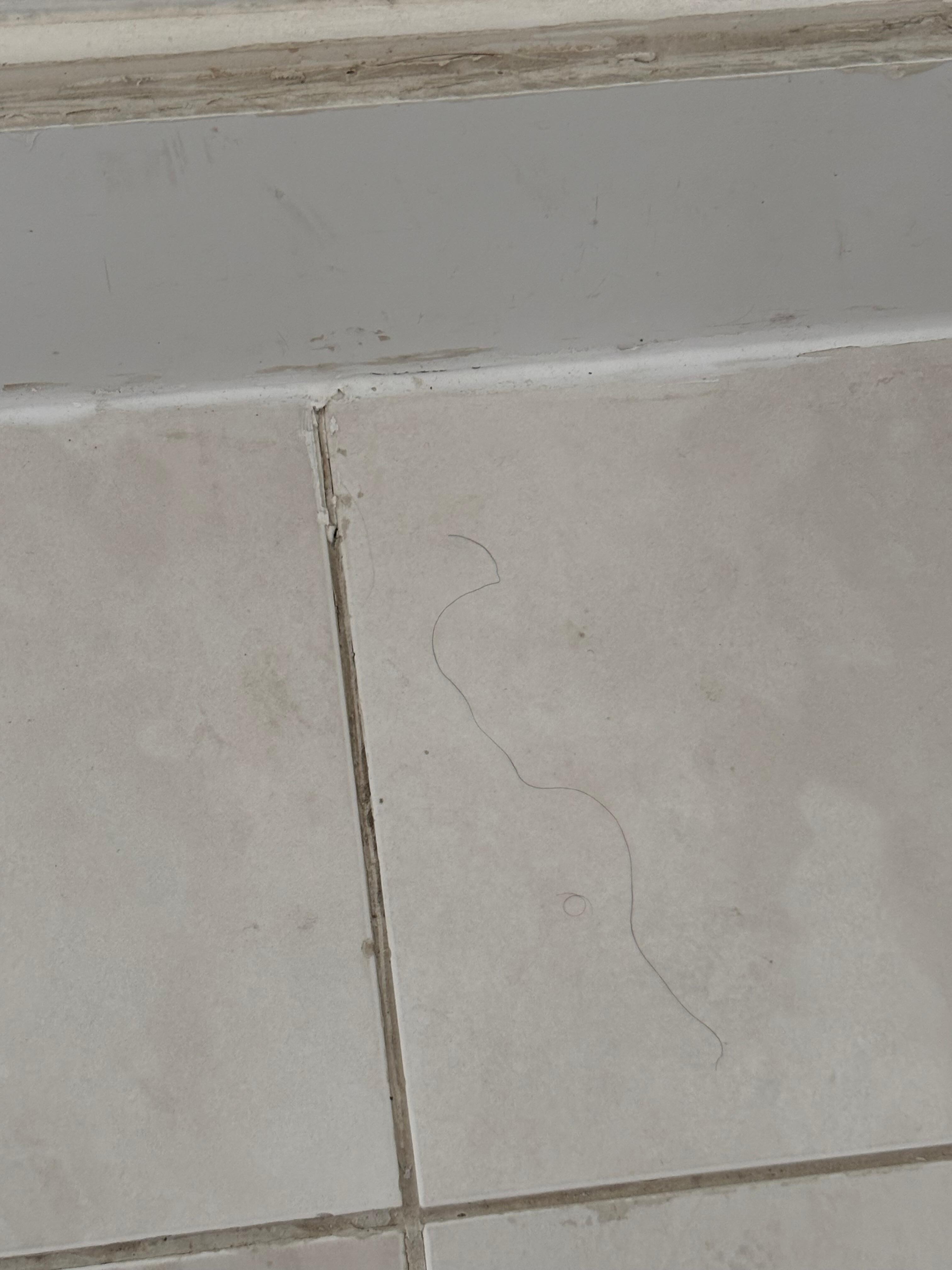 Obviously not cleaned. 