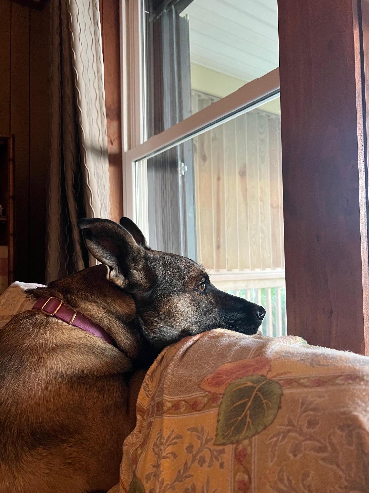 Wishing she was on the sand