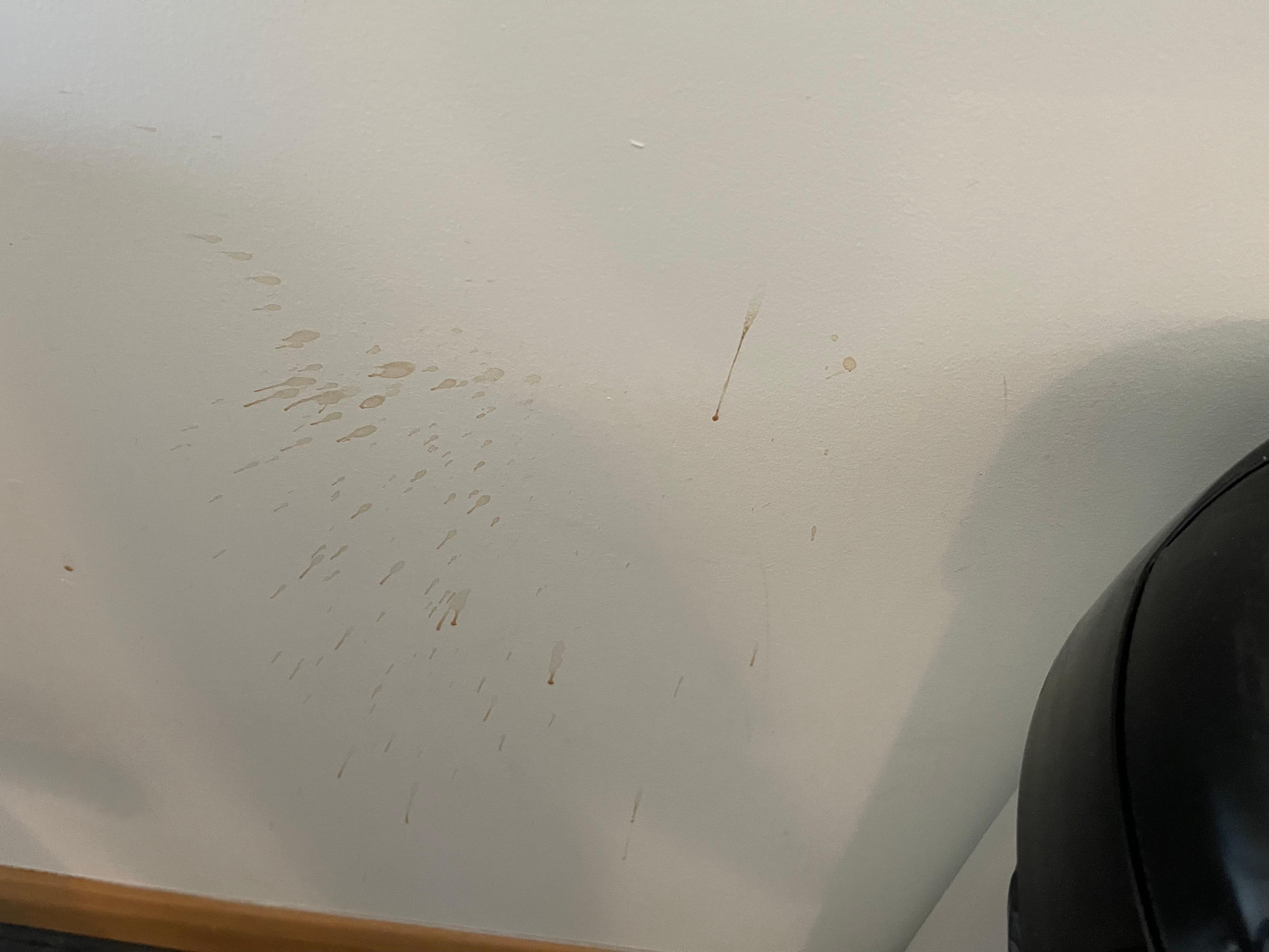 Dirty splattered walls behind the kitchen bin