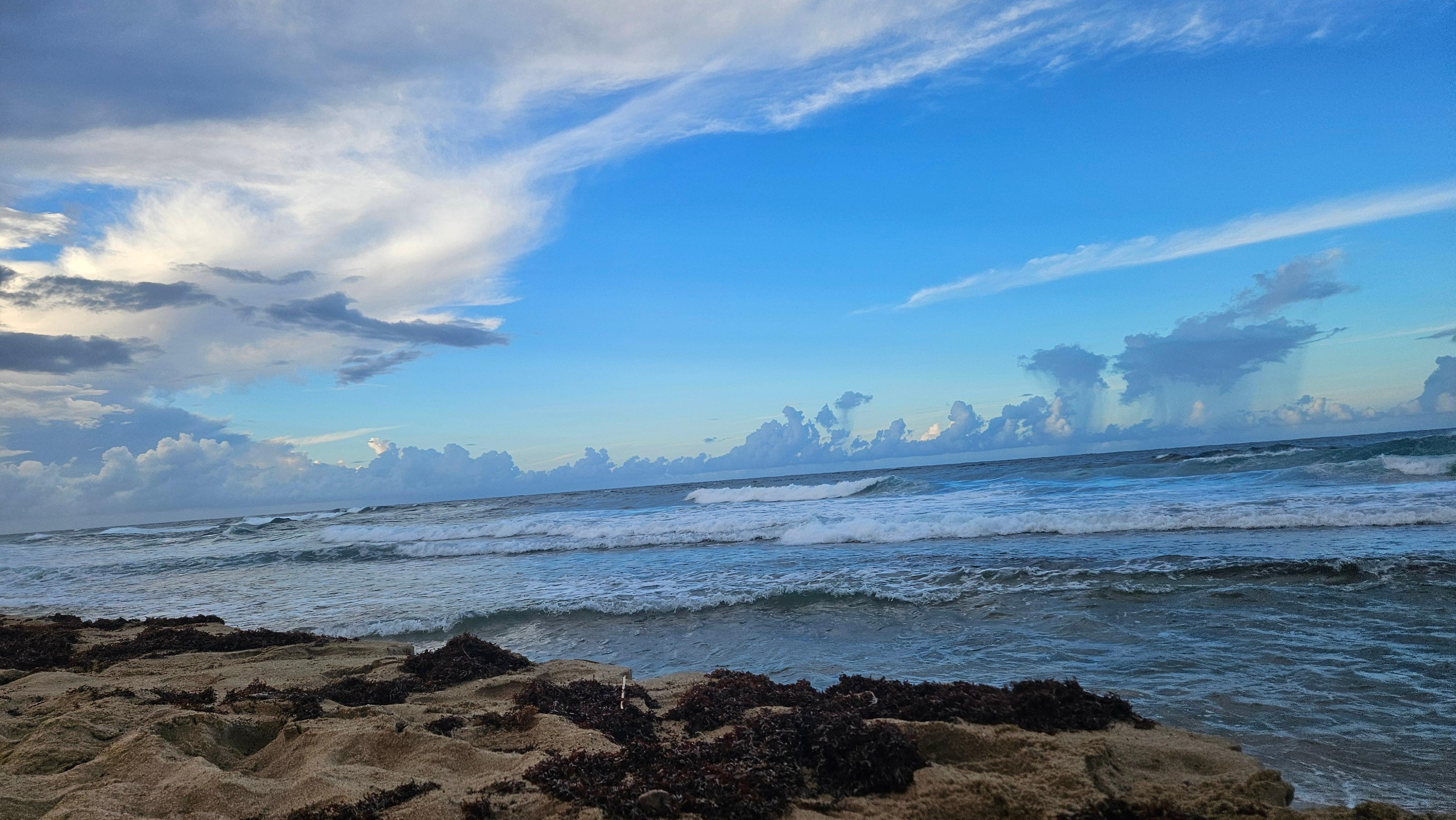 Lots of coral... not comfortable swimmable