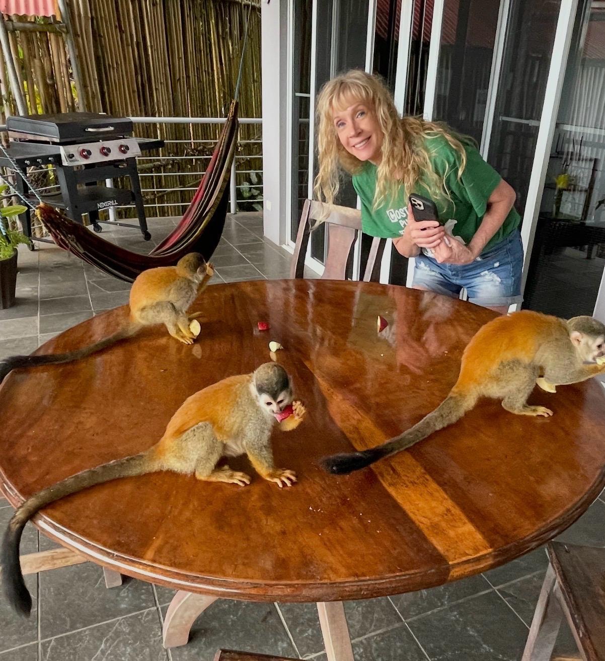 The monkeys came to visit 