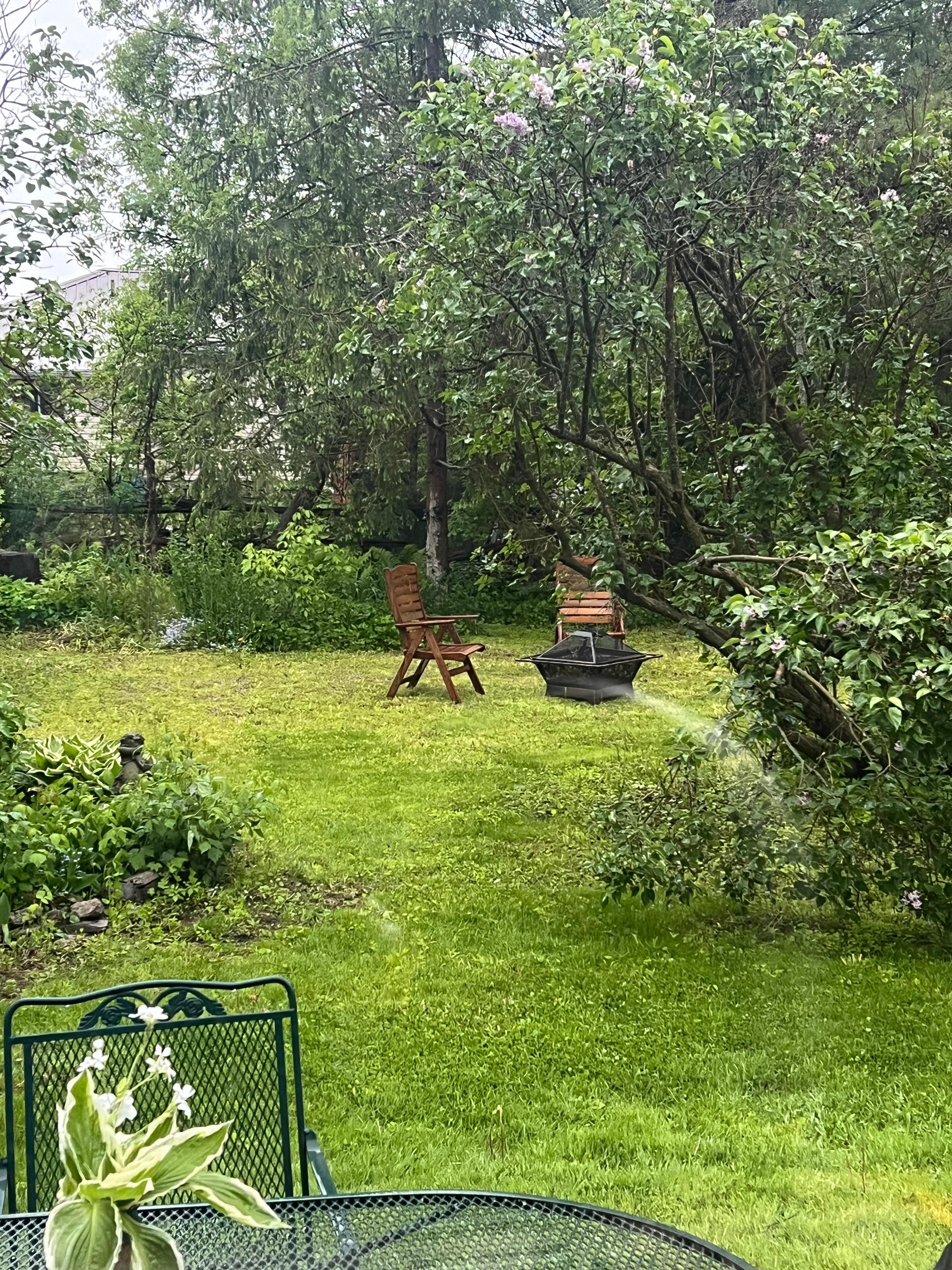 View out the Kitchen window 