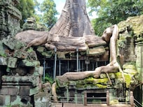 Tomb raiser temple