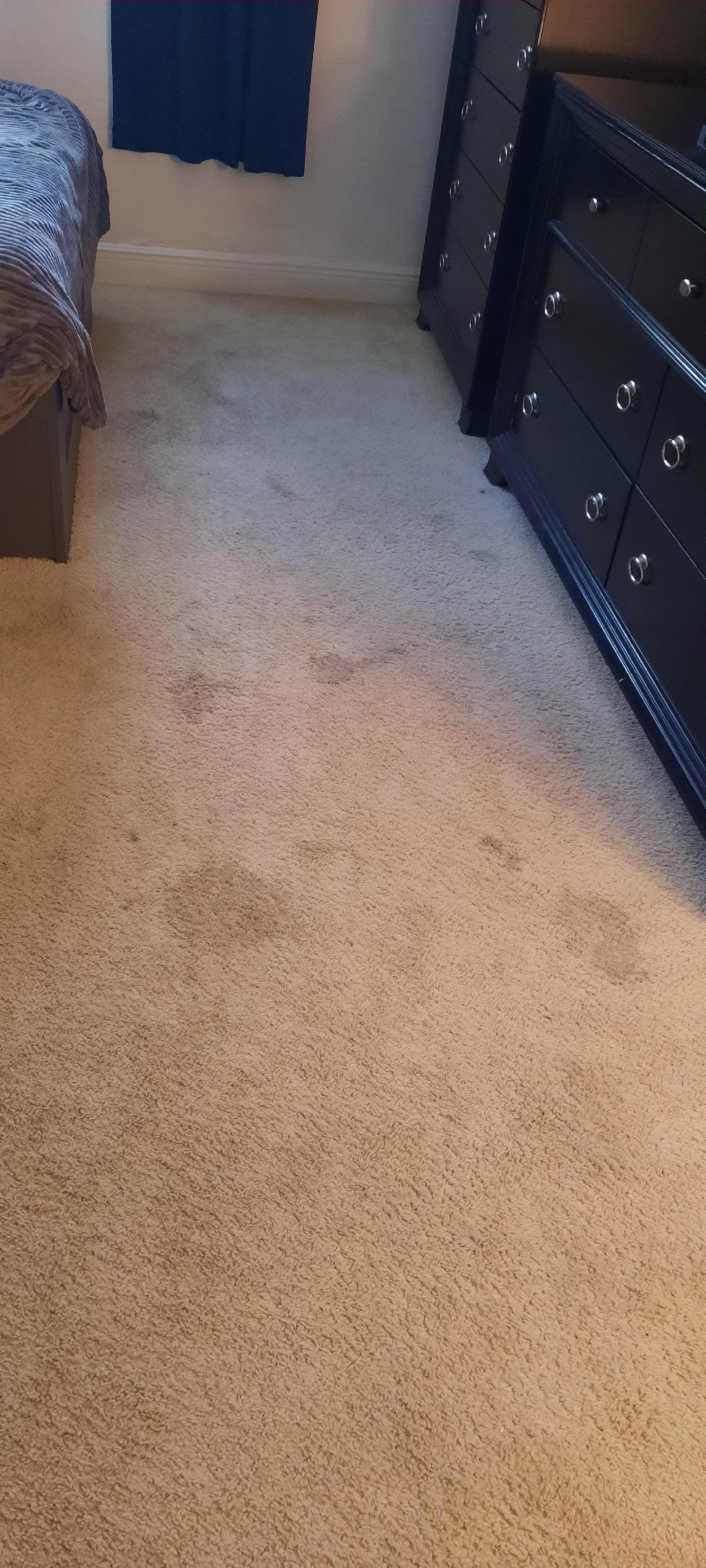 Stained bedroom carpet