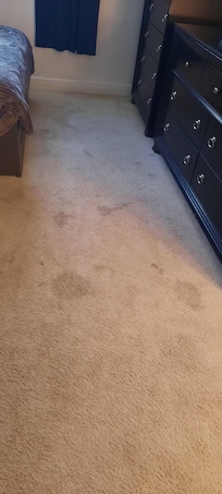 Stained bedroom carpet