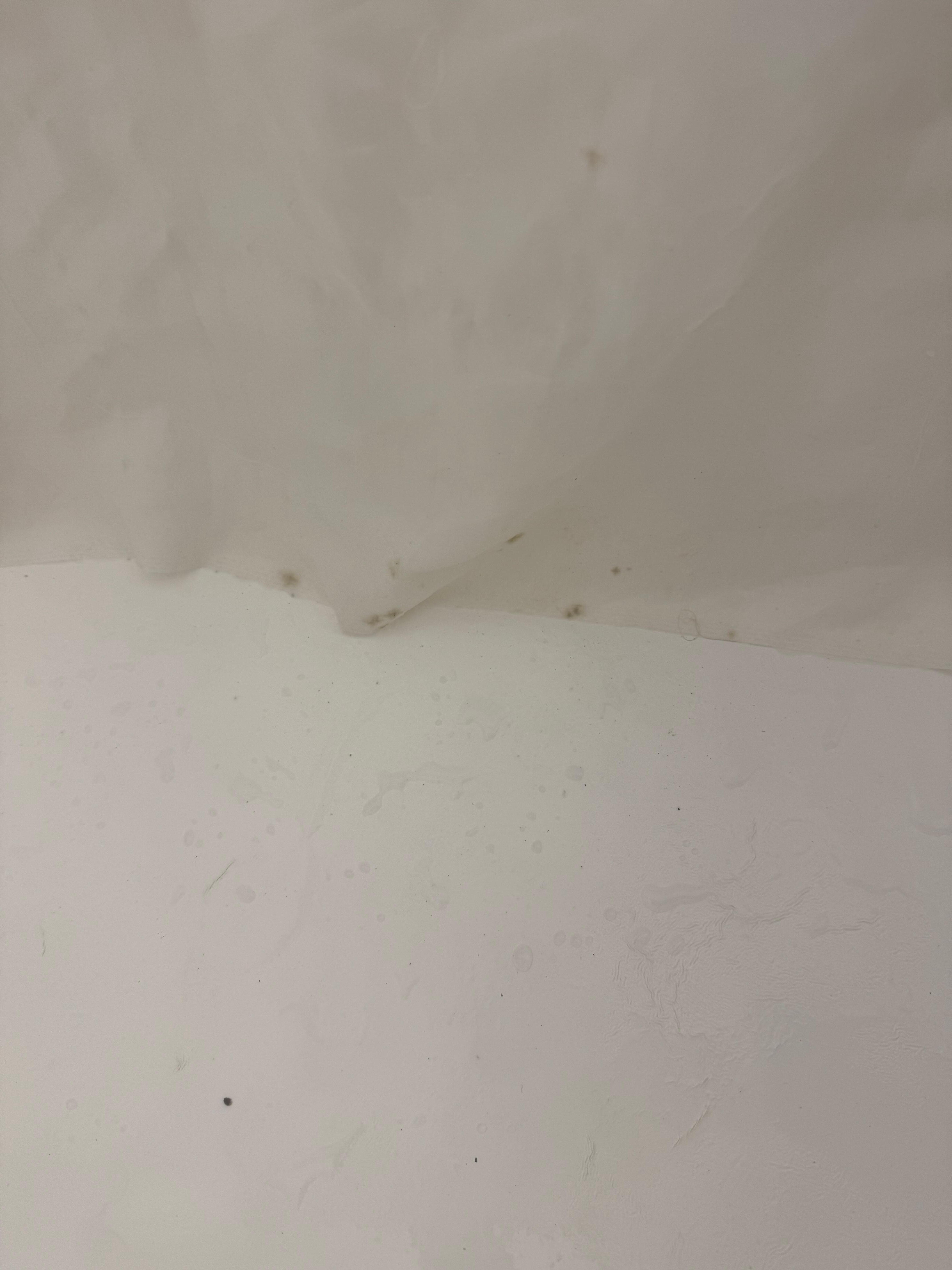 Mold on shower curtain