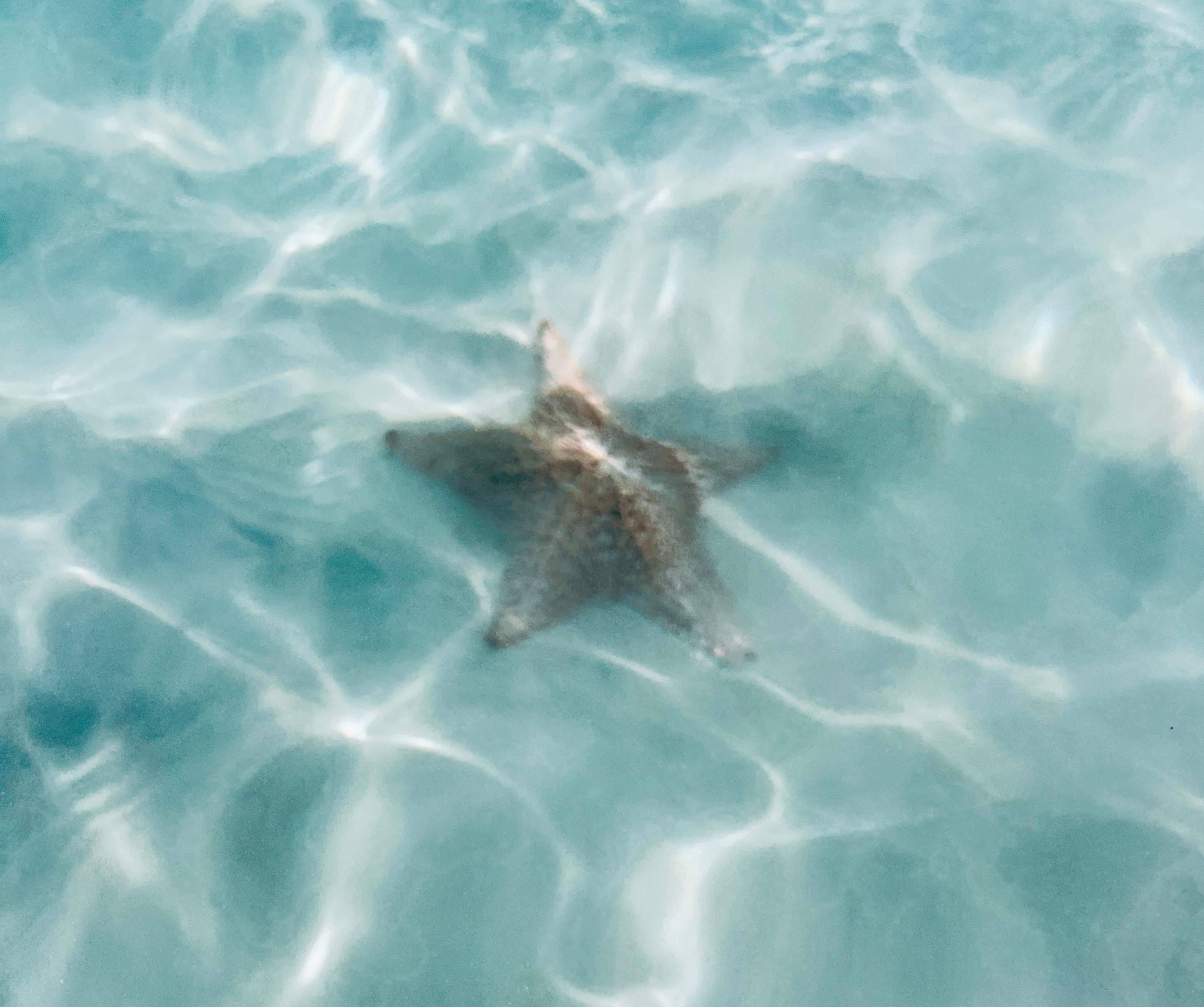 We found this about 3 feet into the water from the beach.