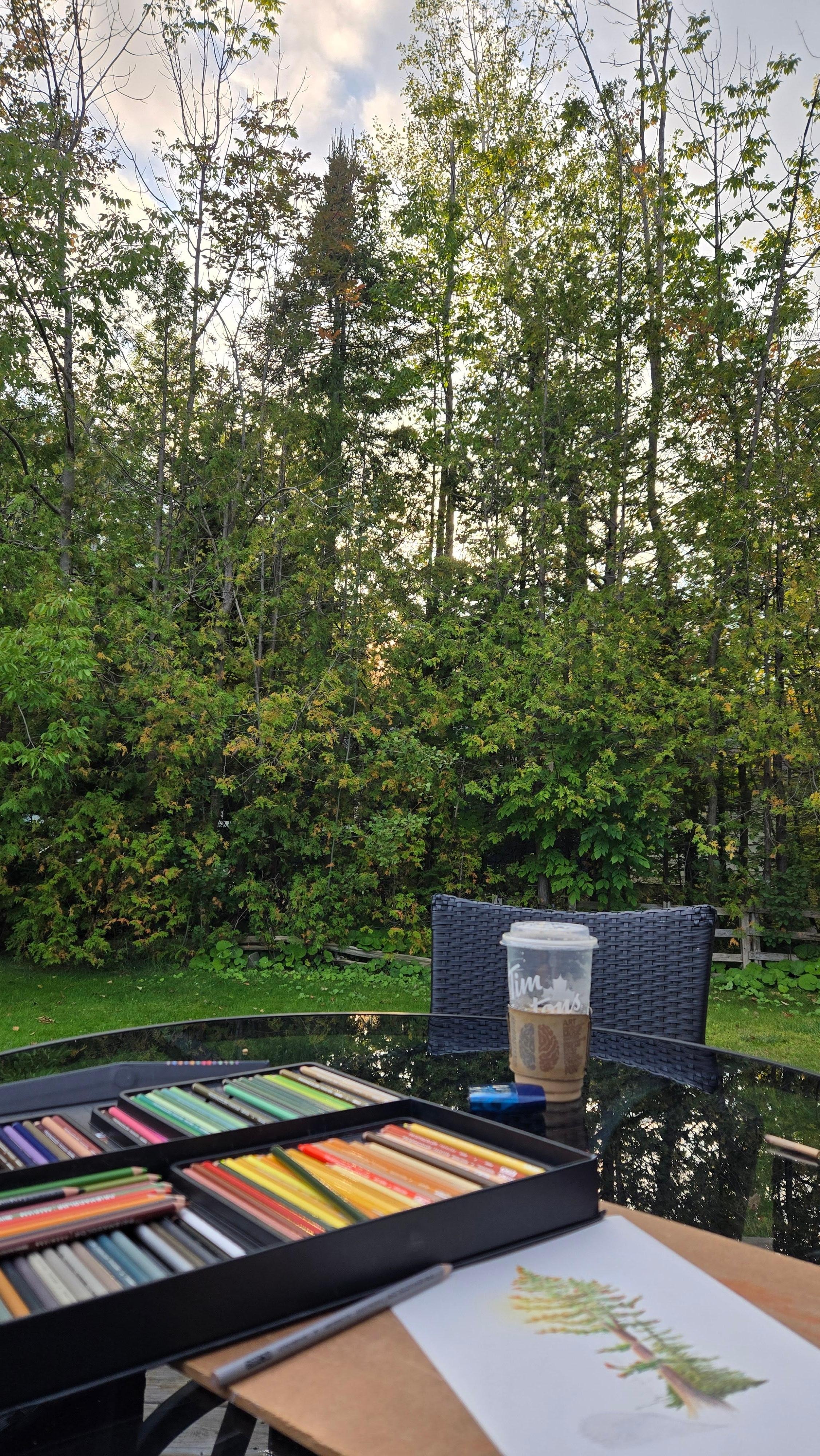 view from the back deck when I was drawing before sunset