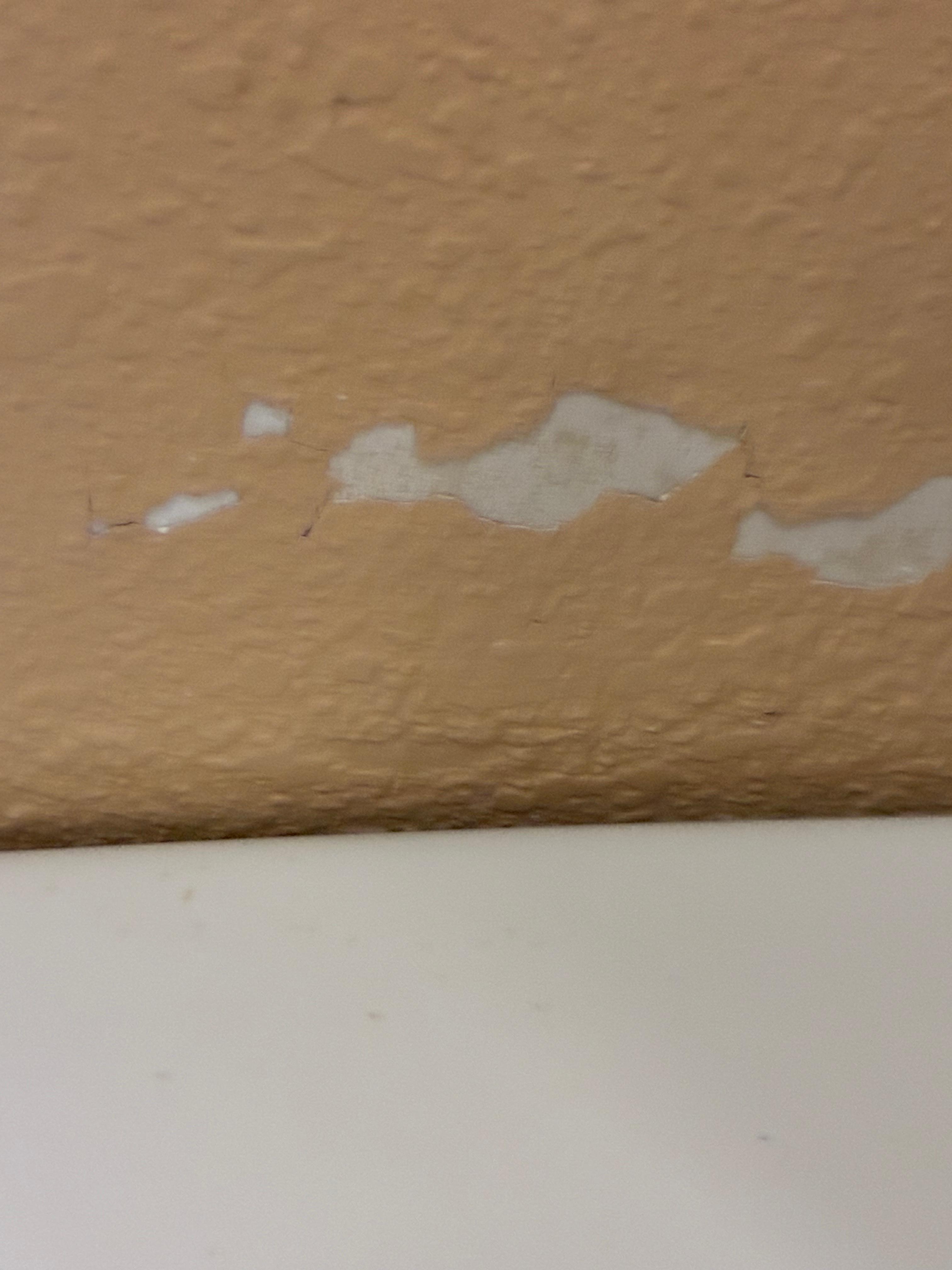 Paint peeling from the wall