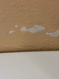 Paint peeling from the wall