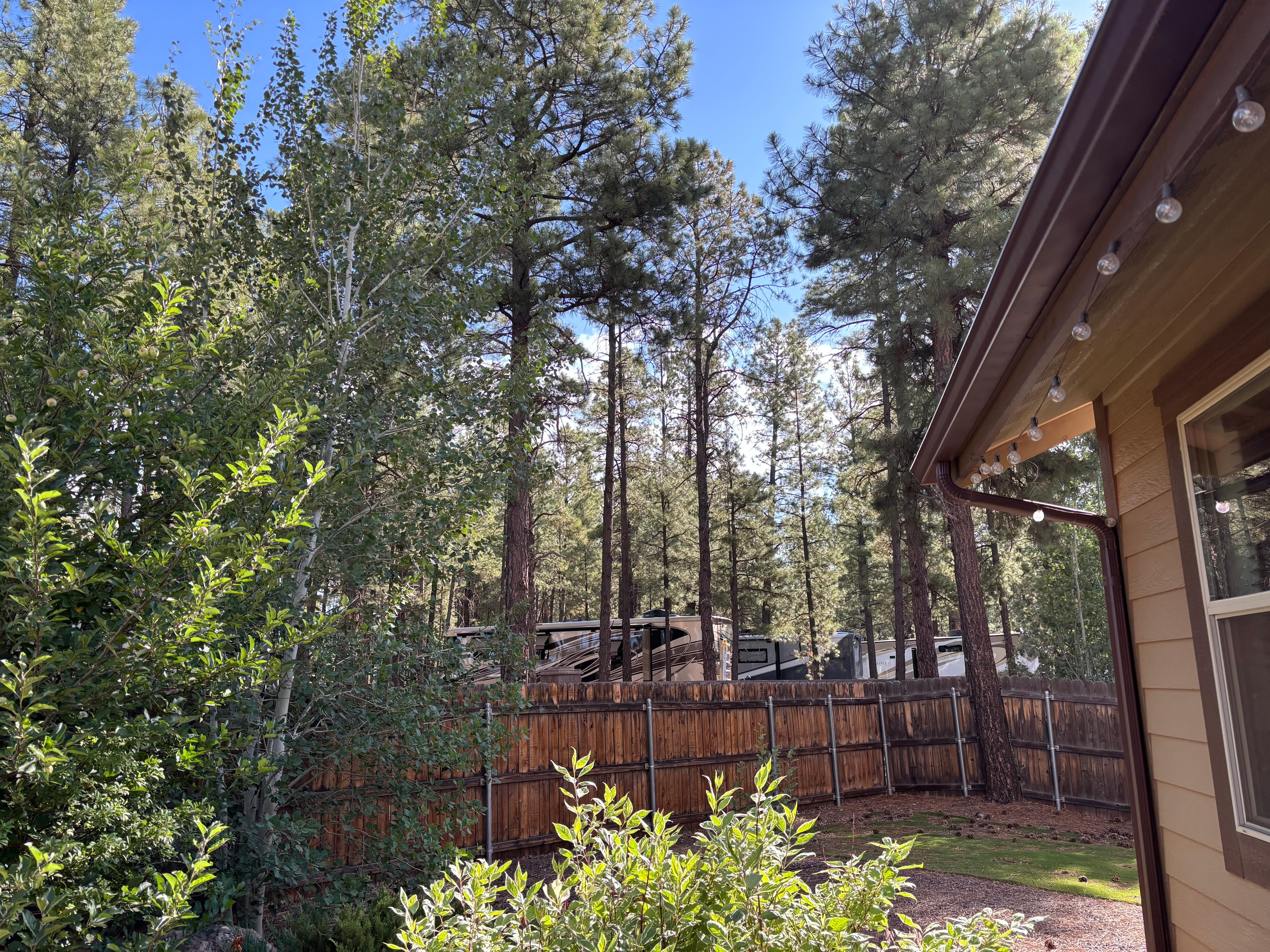 loved all the trees and the sound of nature.