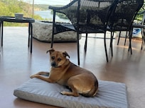 Her 3rd year at the Willie