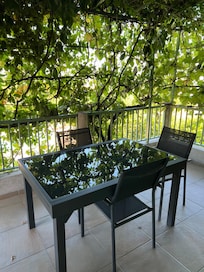 Terrasse ombragée sous la vigne