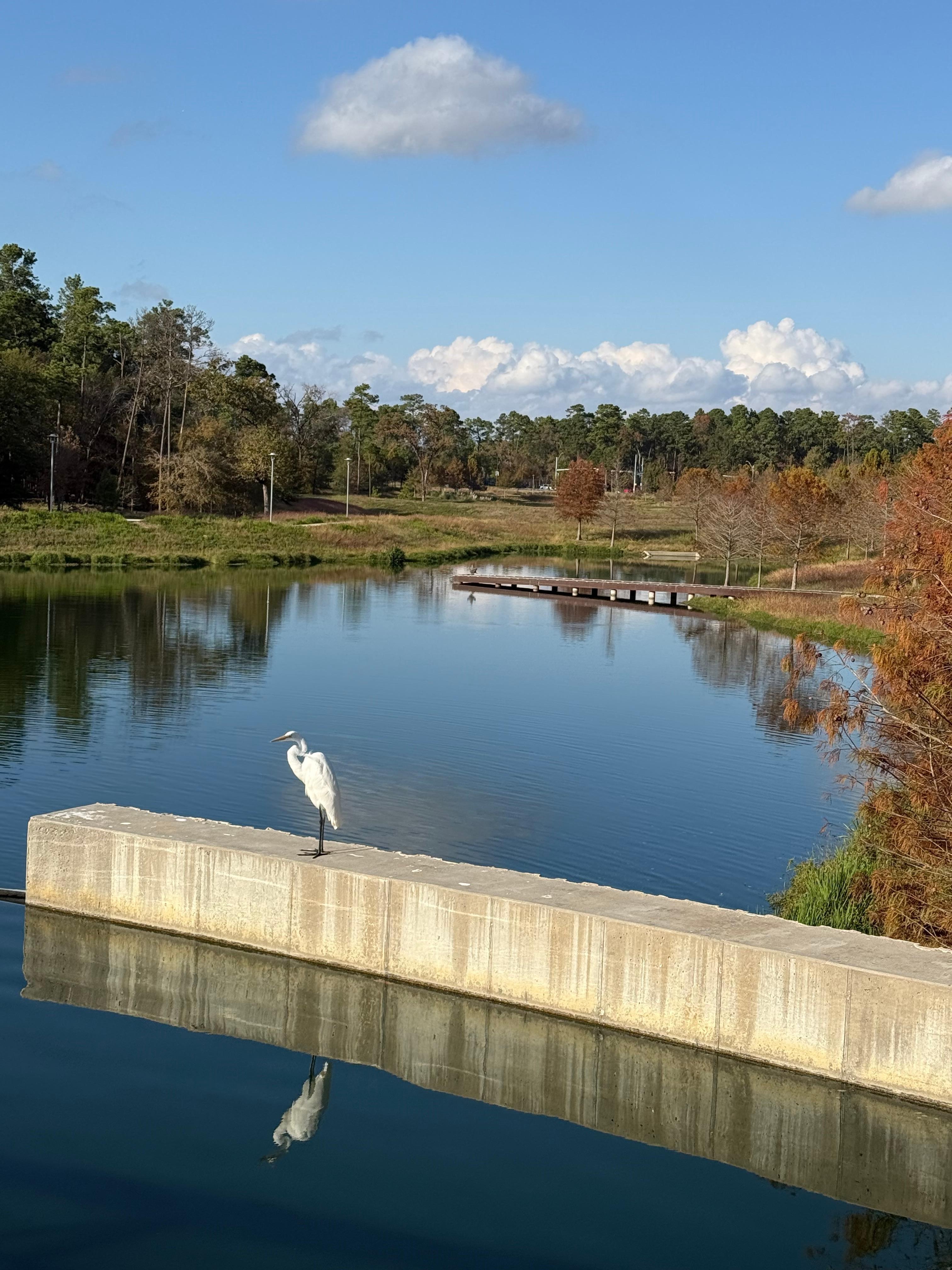 Park next to Marriott.