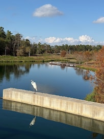 Park next to Marriott.