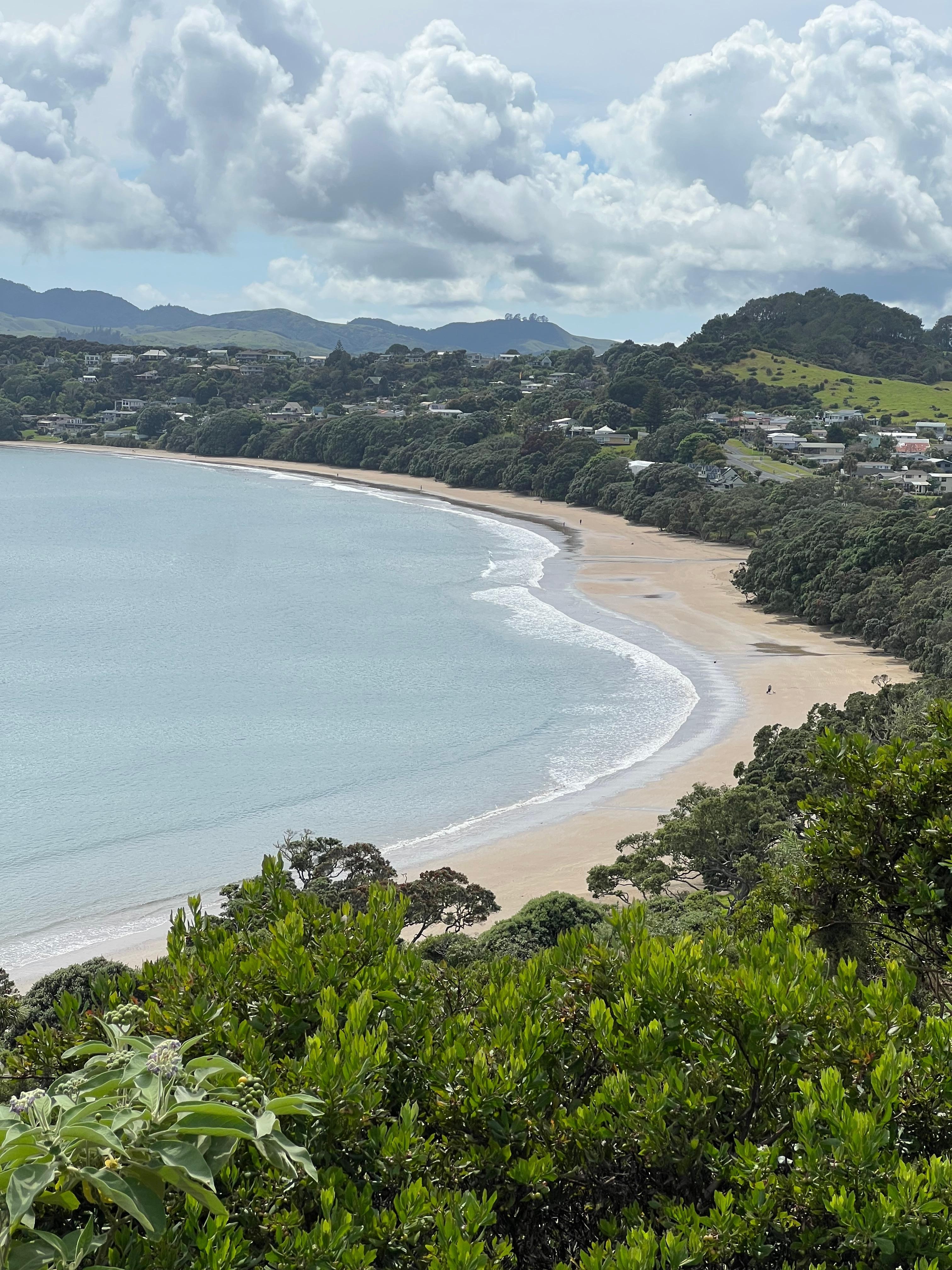 Looking down on coopers beach 