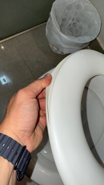 Assento de privada quebrado