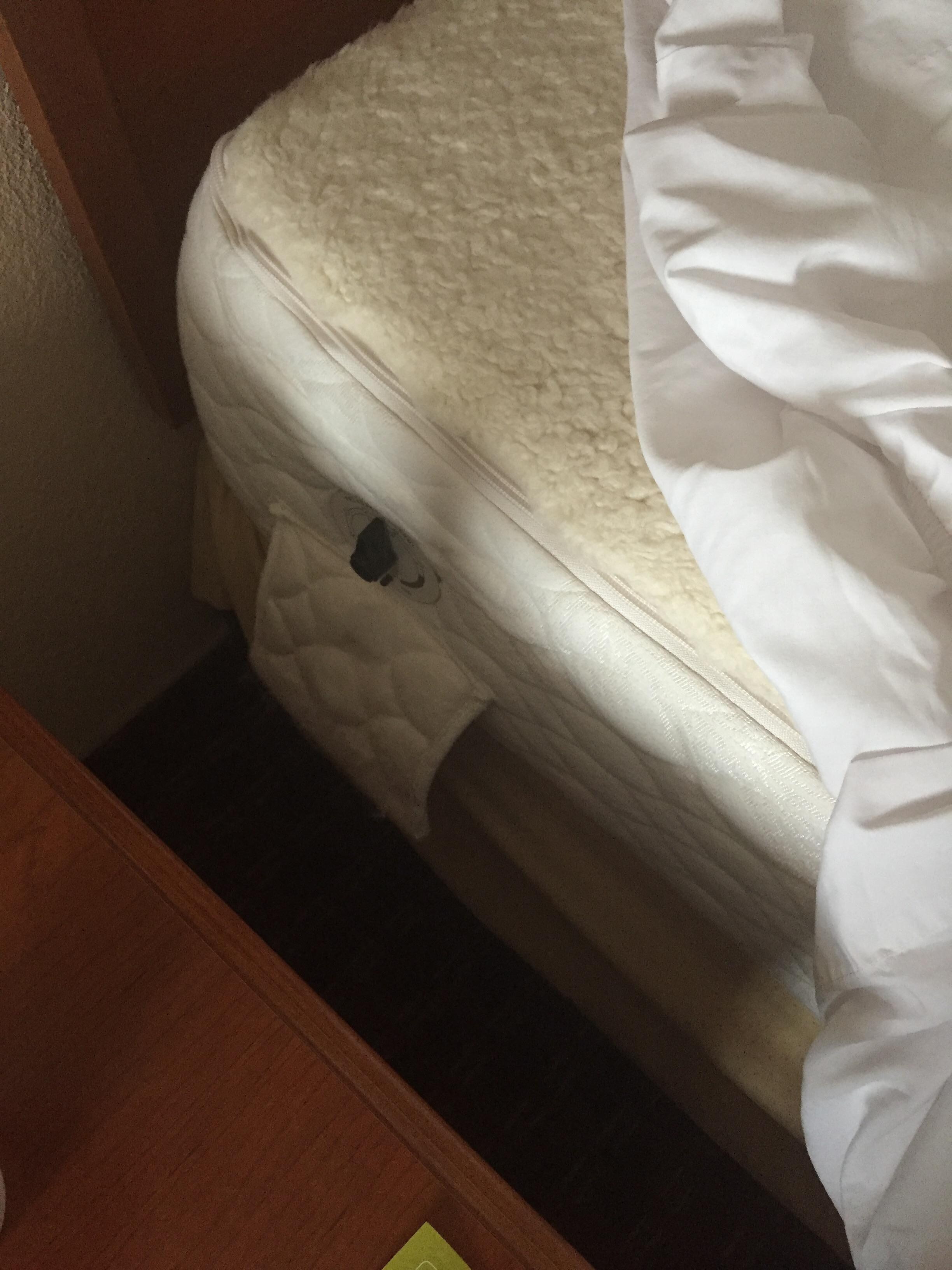 Two double beds