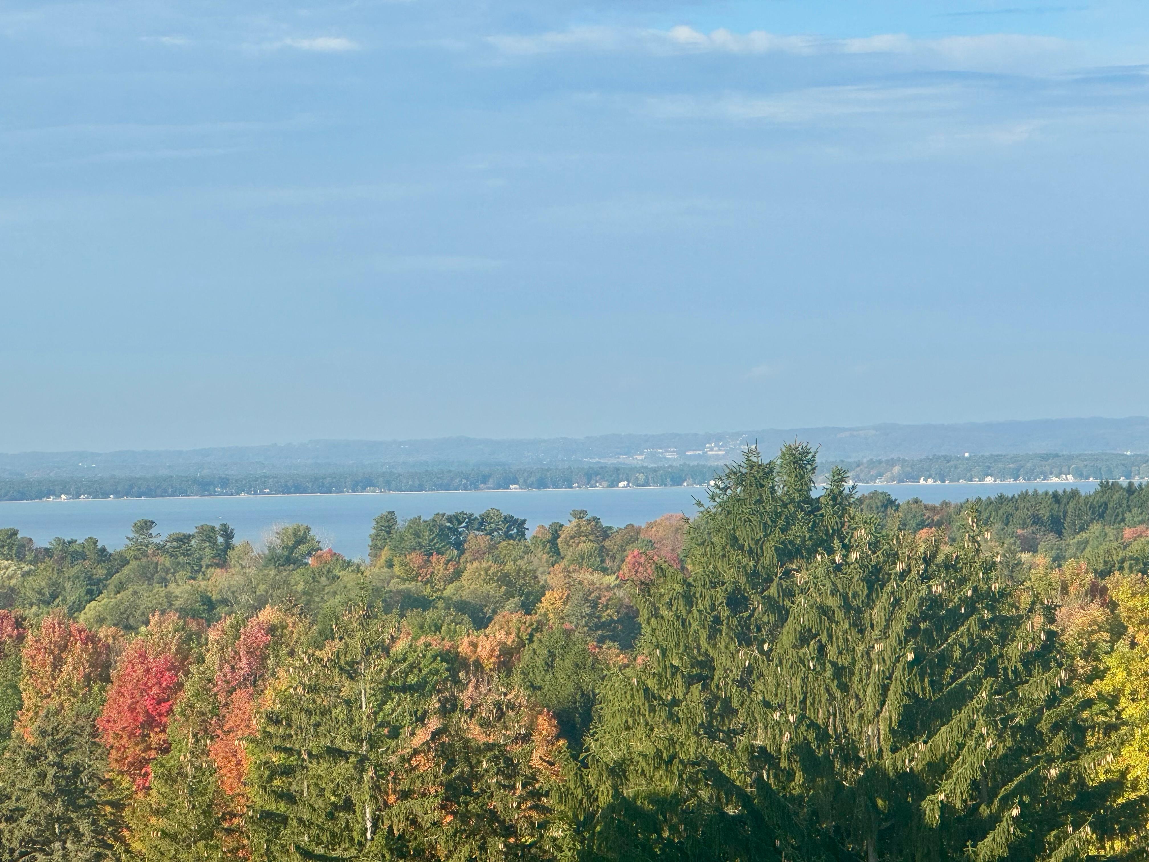 View from room (only after requesting to move from view of roof and storage)