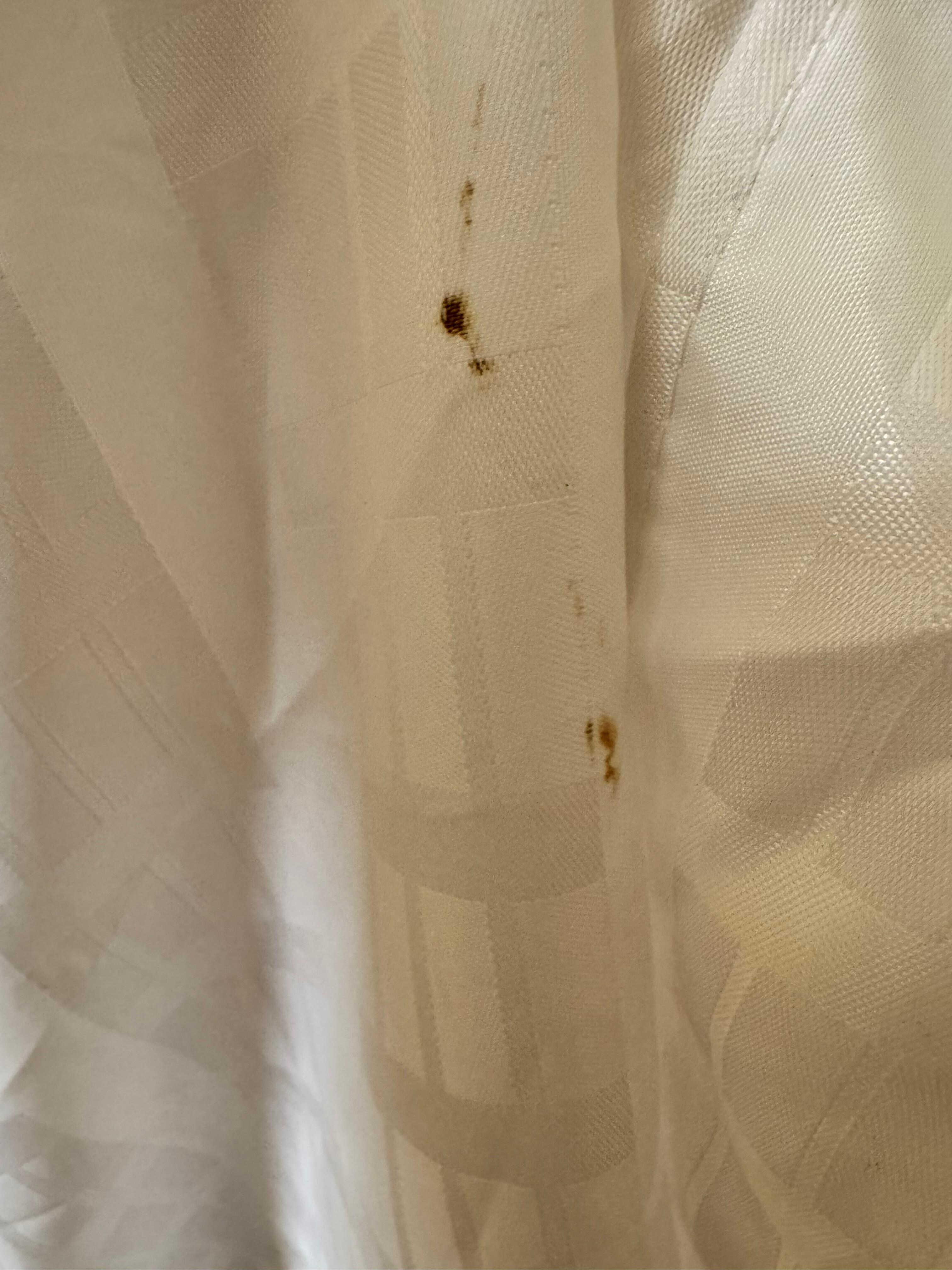 Blood on the shower curtain.