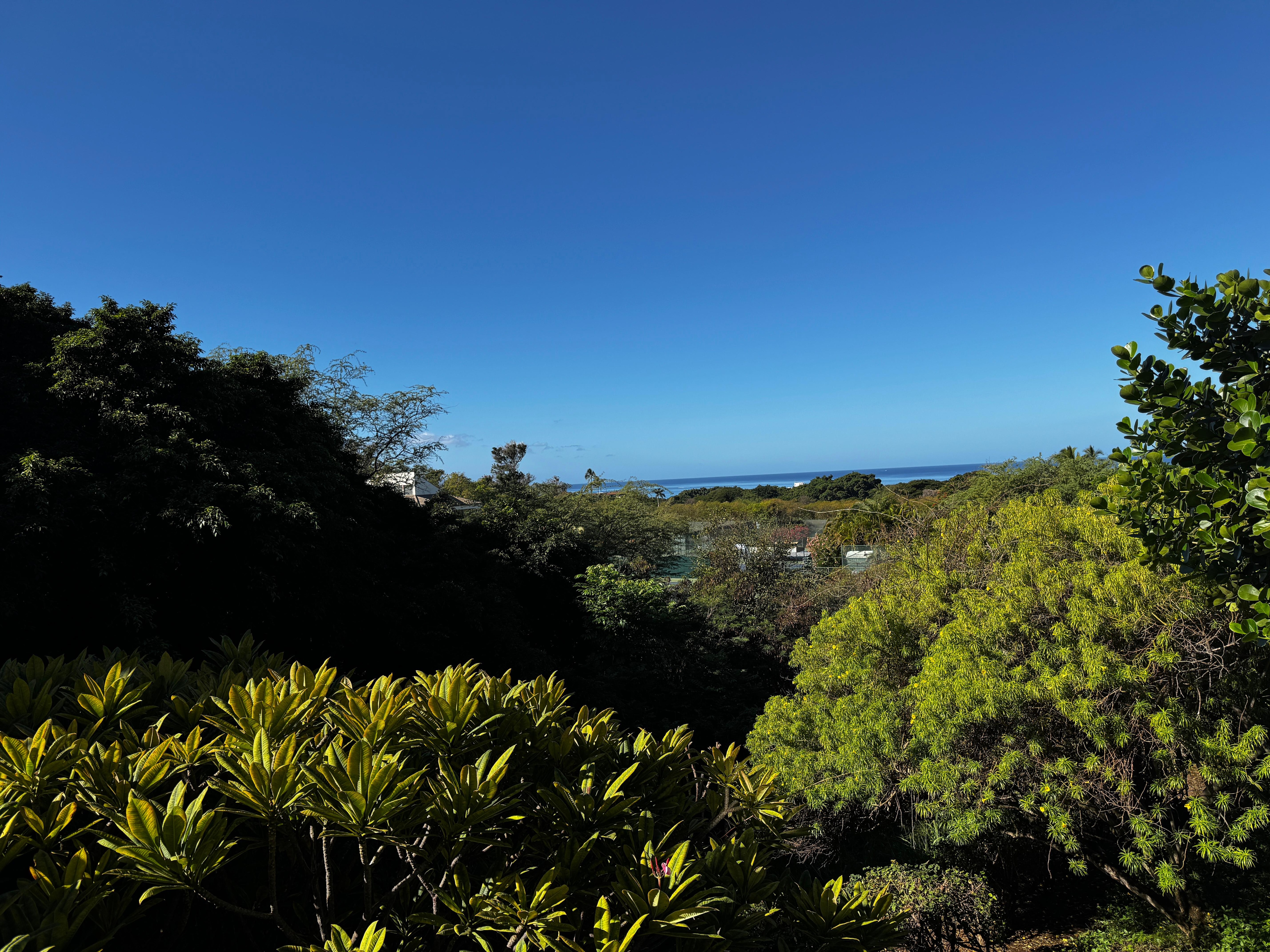 View from the lanai. 
