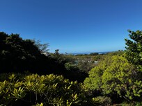 View from the lanai.