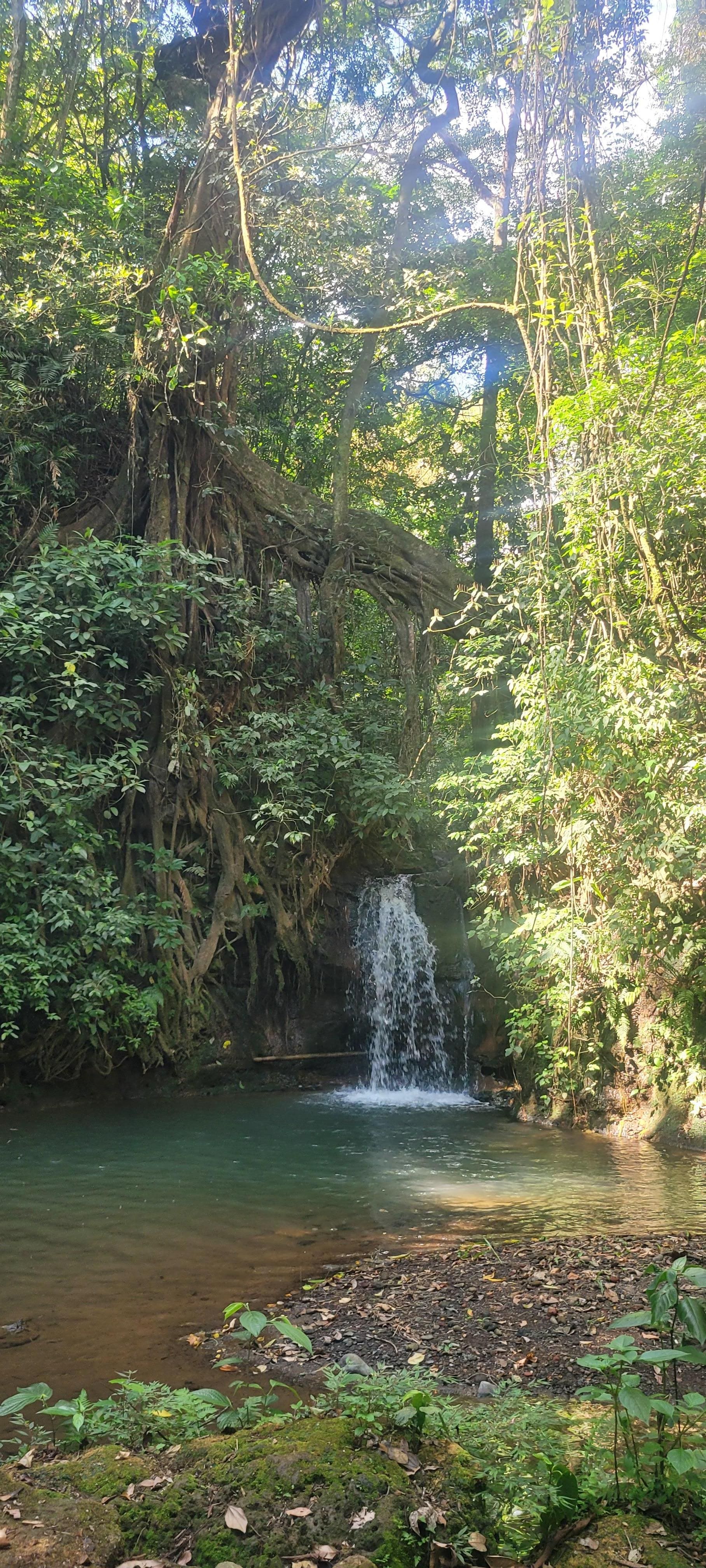 One of waterfall on grounds