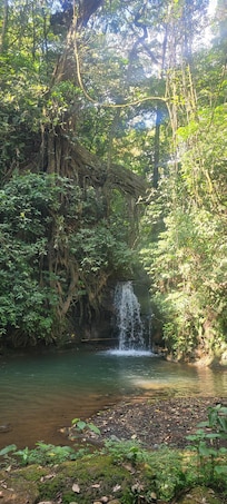 One of waterfall on grounds
