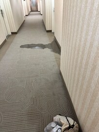 Room flooding to hall