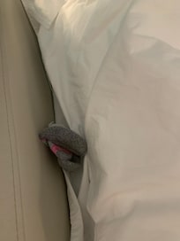 Random sock found in the bed