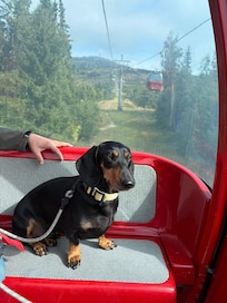 Unser Buddy fÀhrt Seilbahn