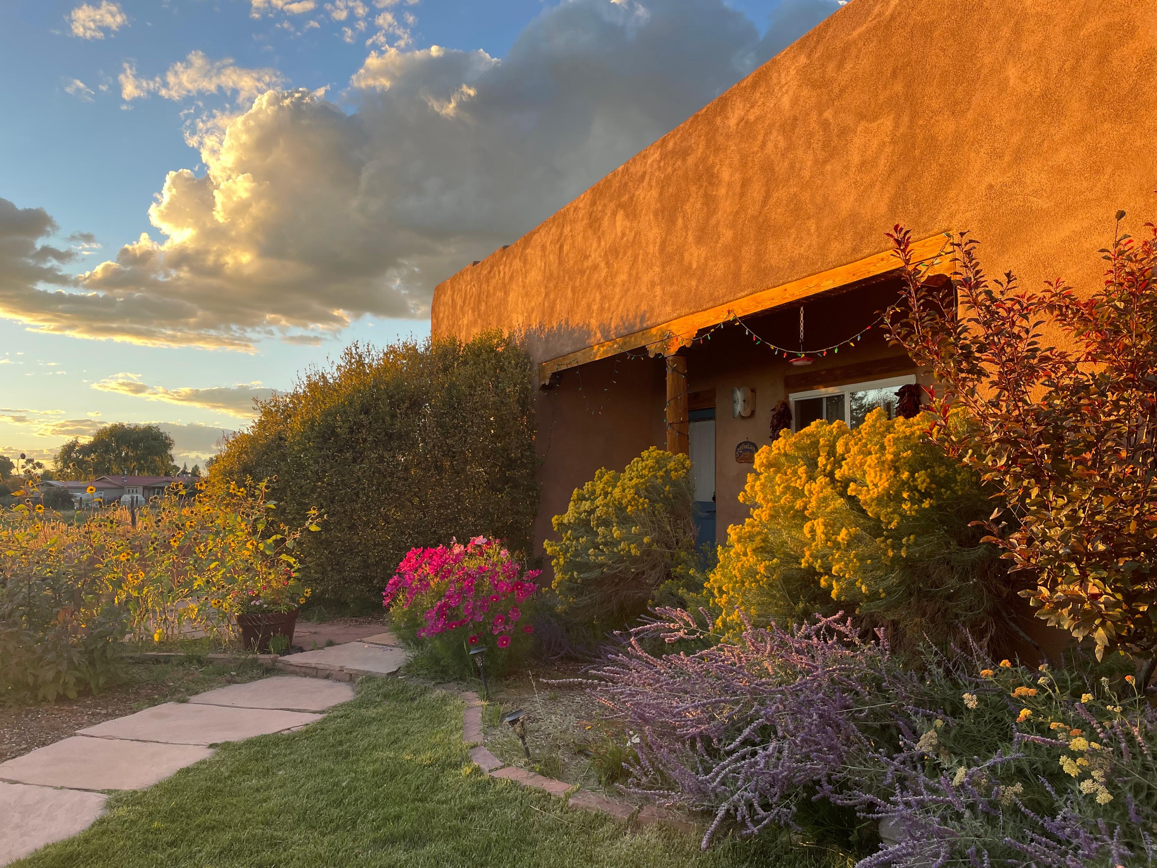 Beautiful light at sunset 