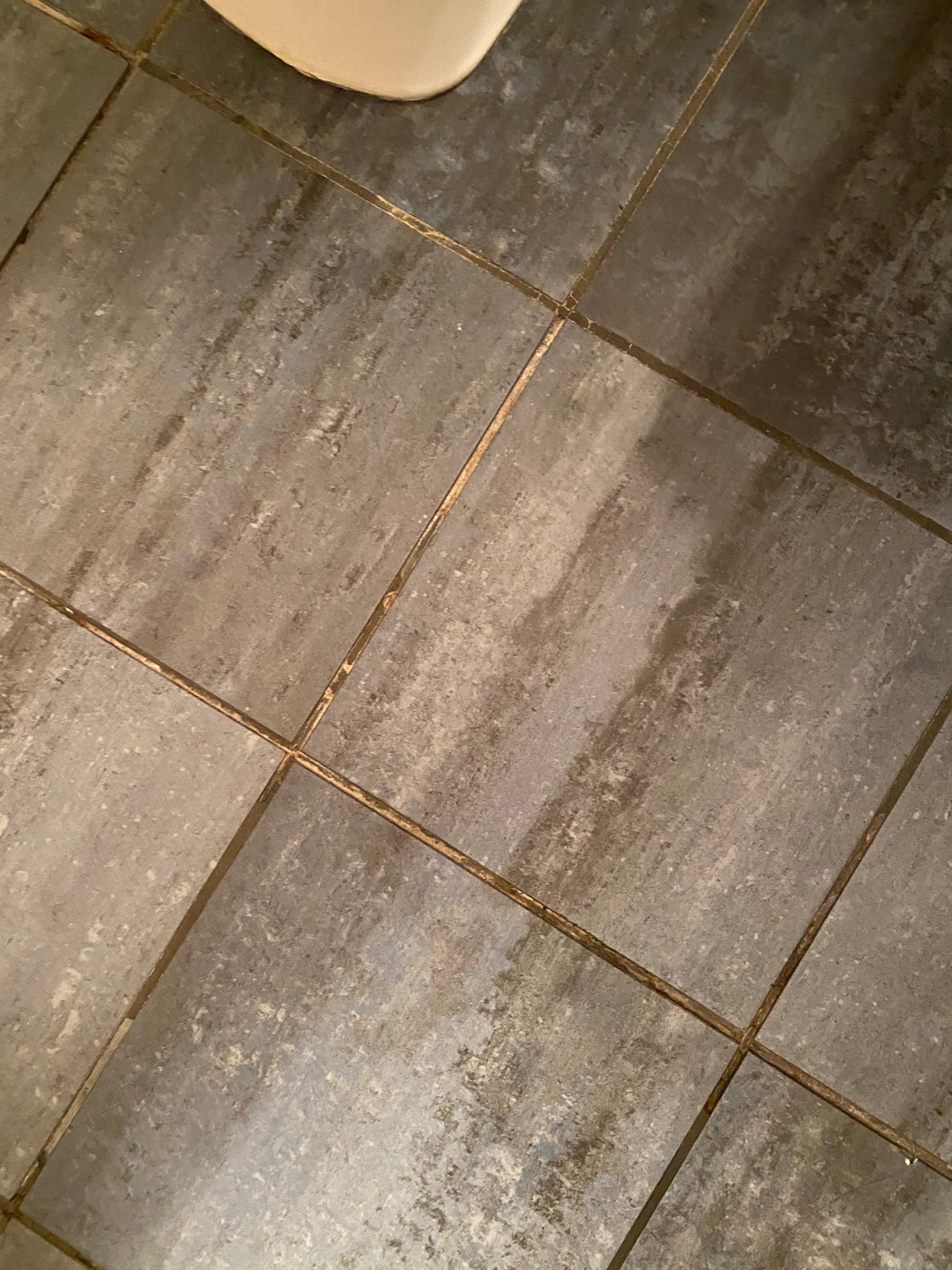 Bigger picture of mold everywhere