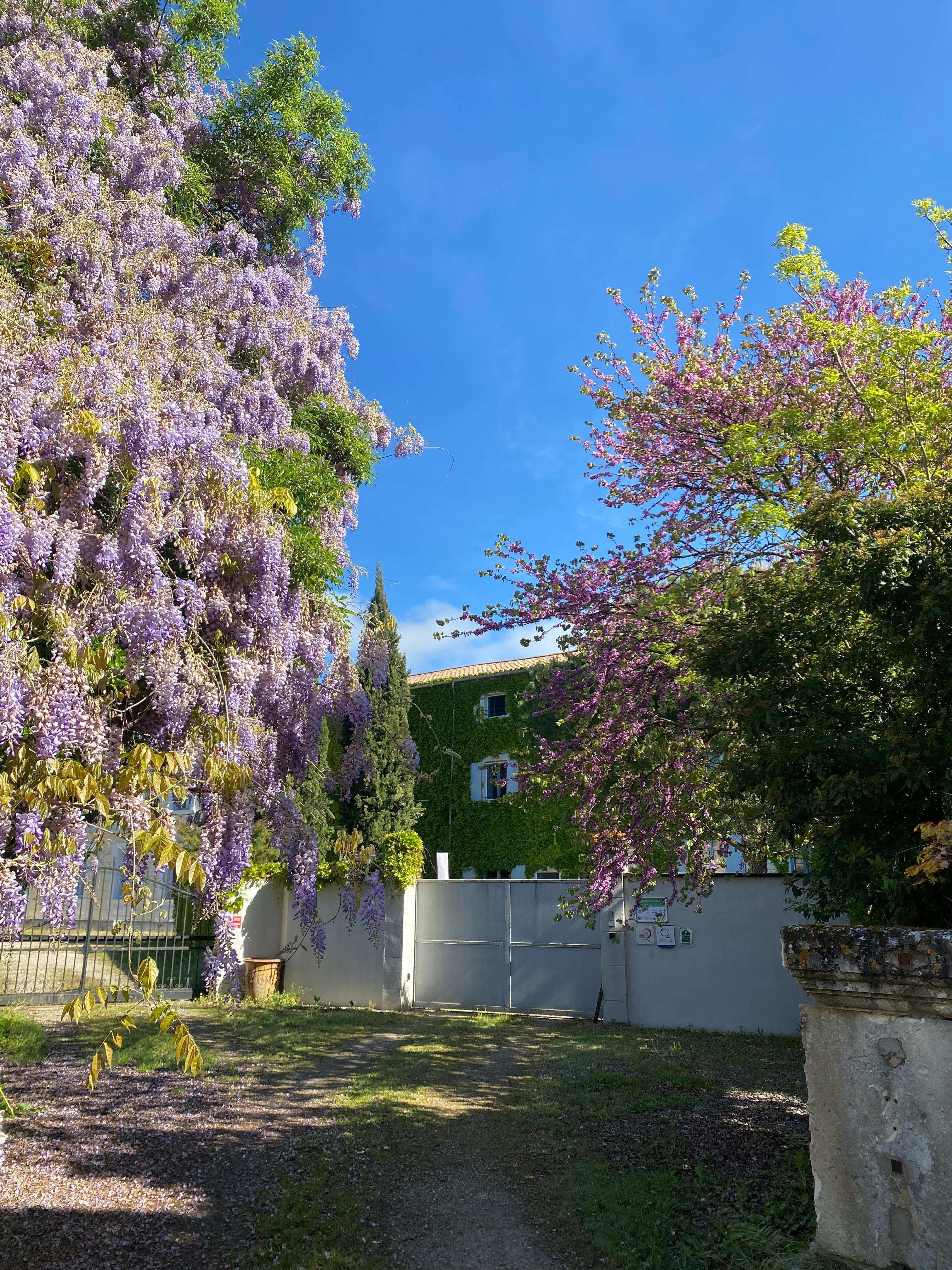 La entrada 