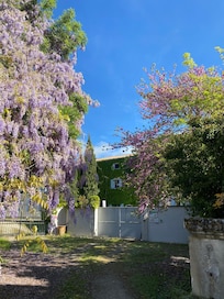 La entrada