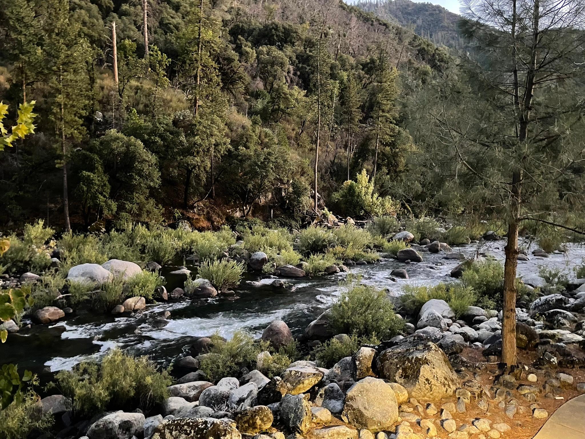 View from our balcony. Beautiful and serene!