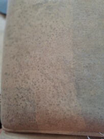 Moldy seats at restaurant