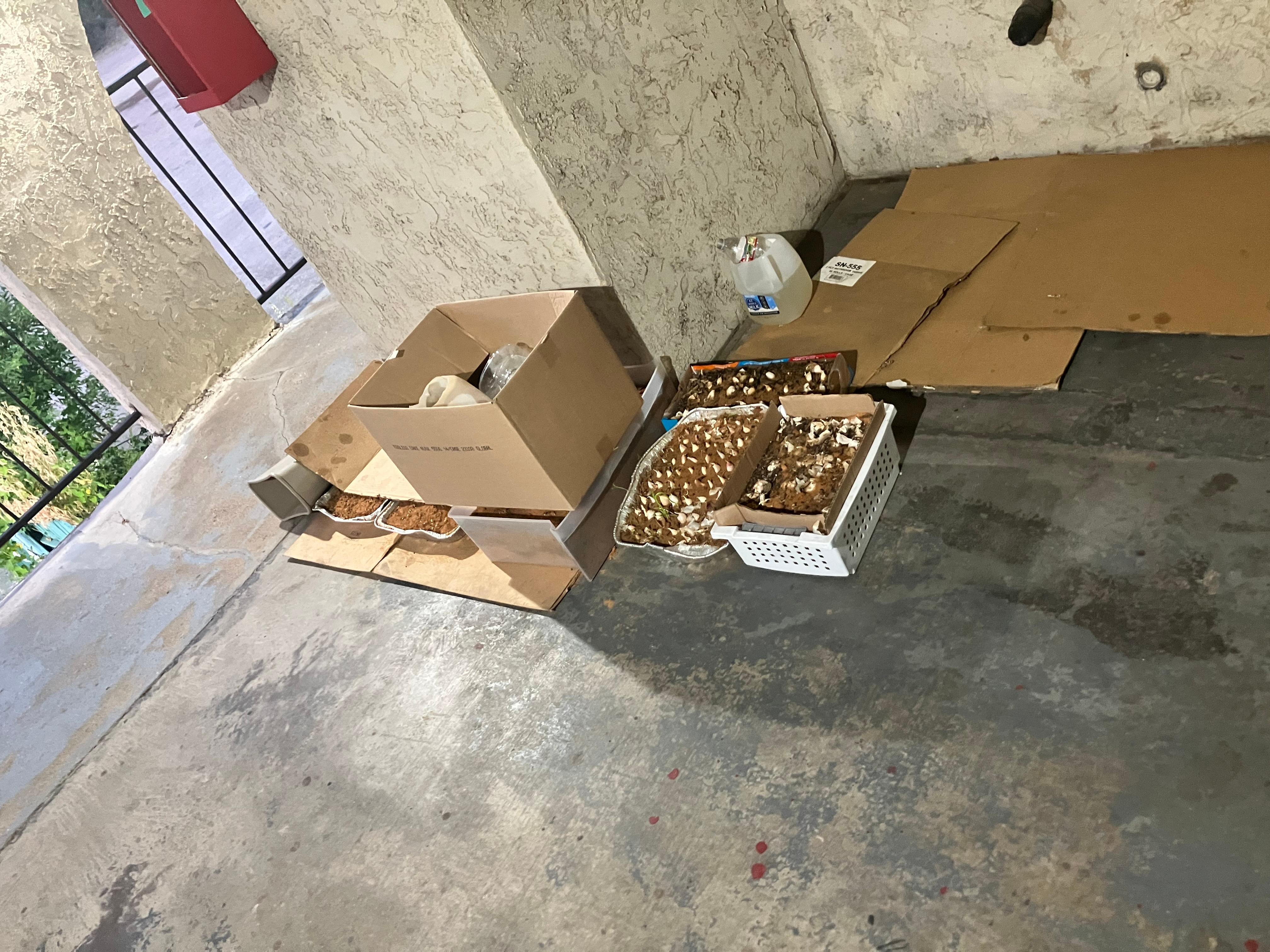 ?Garbage? Free Buffett for Happy Hour? Breakfast?