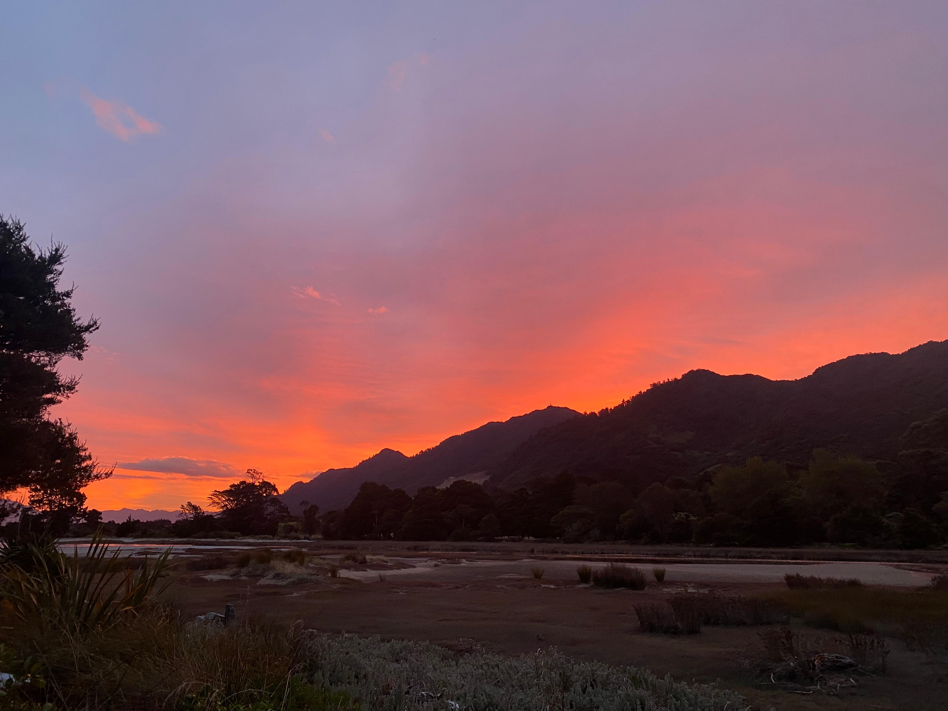 From the house’s deck at 9pm!