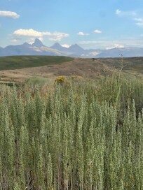 Tetons are just over the hill.
