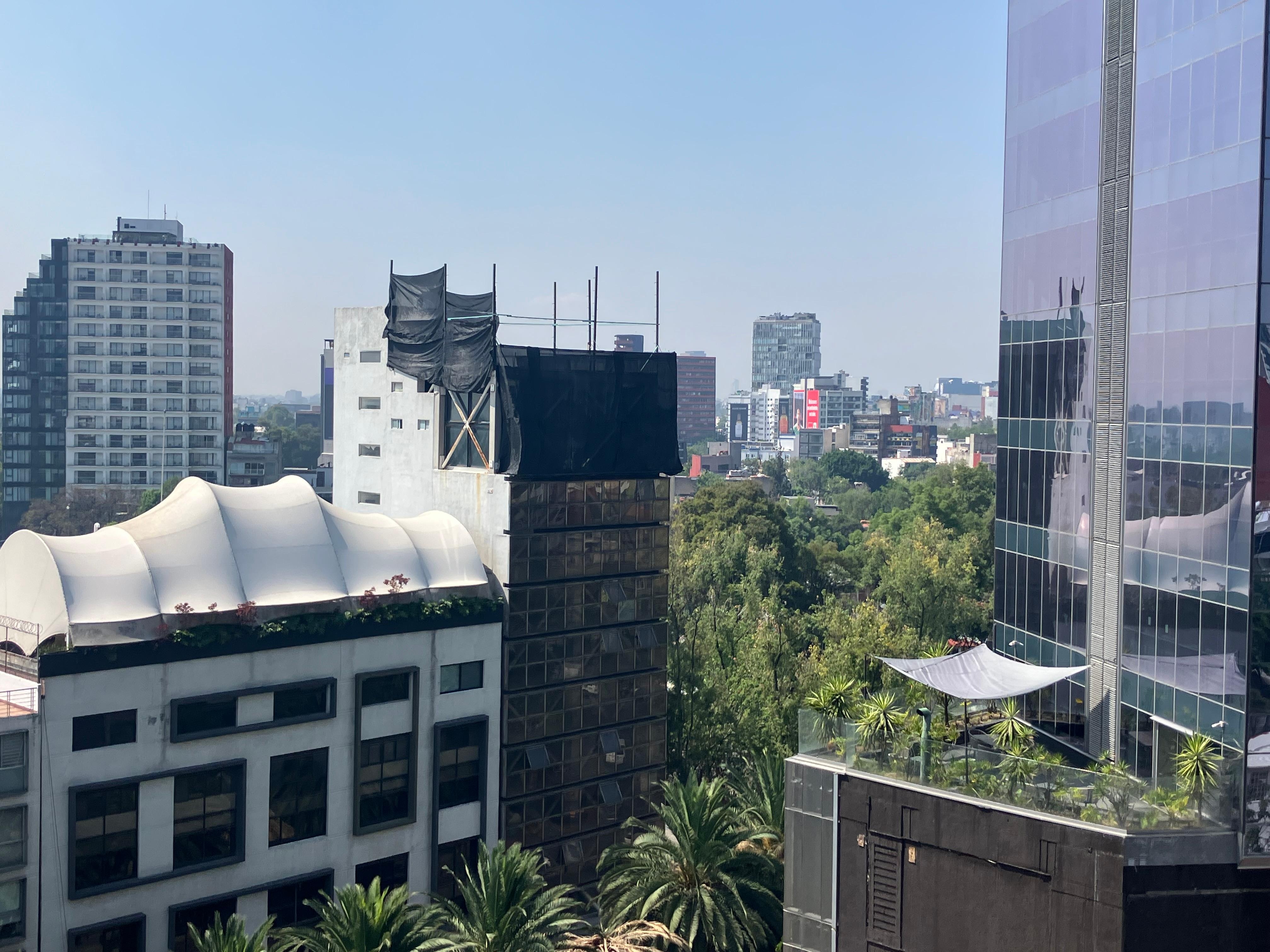 View from the patio! 