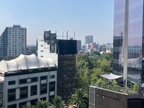 View from the patio!