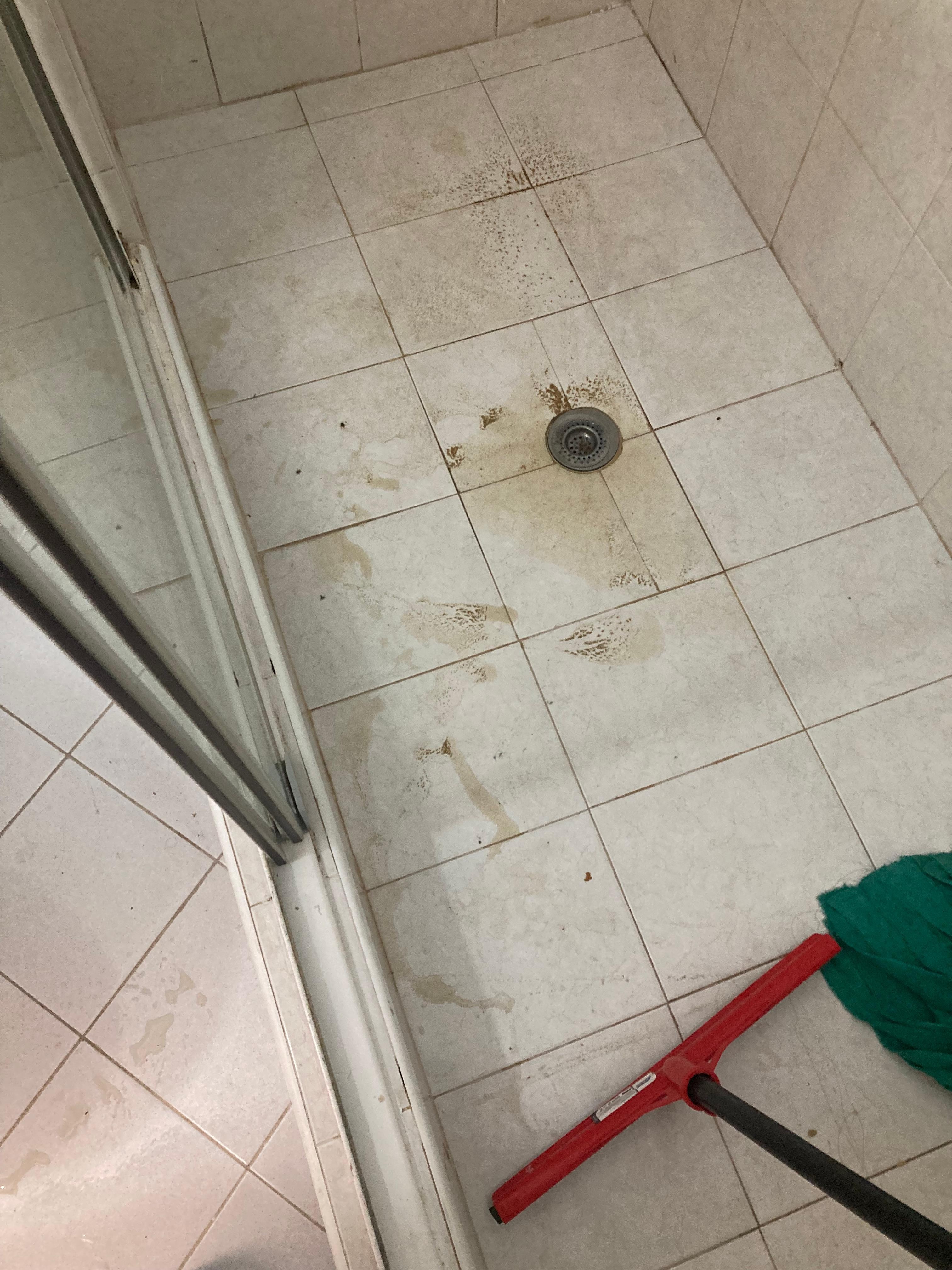 Zustand nach Beseitigung des Wasserschadens. Da keine Reinigungshilfe kam, musste ich selbst alles reinigen.