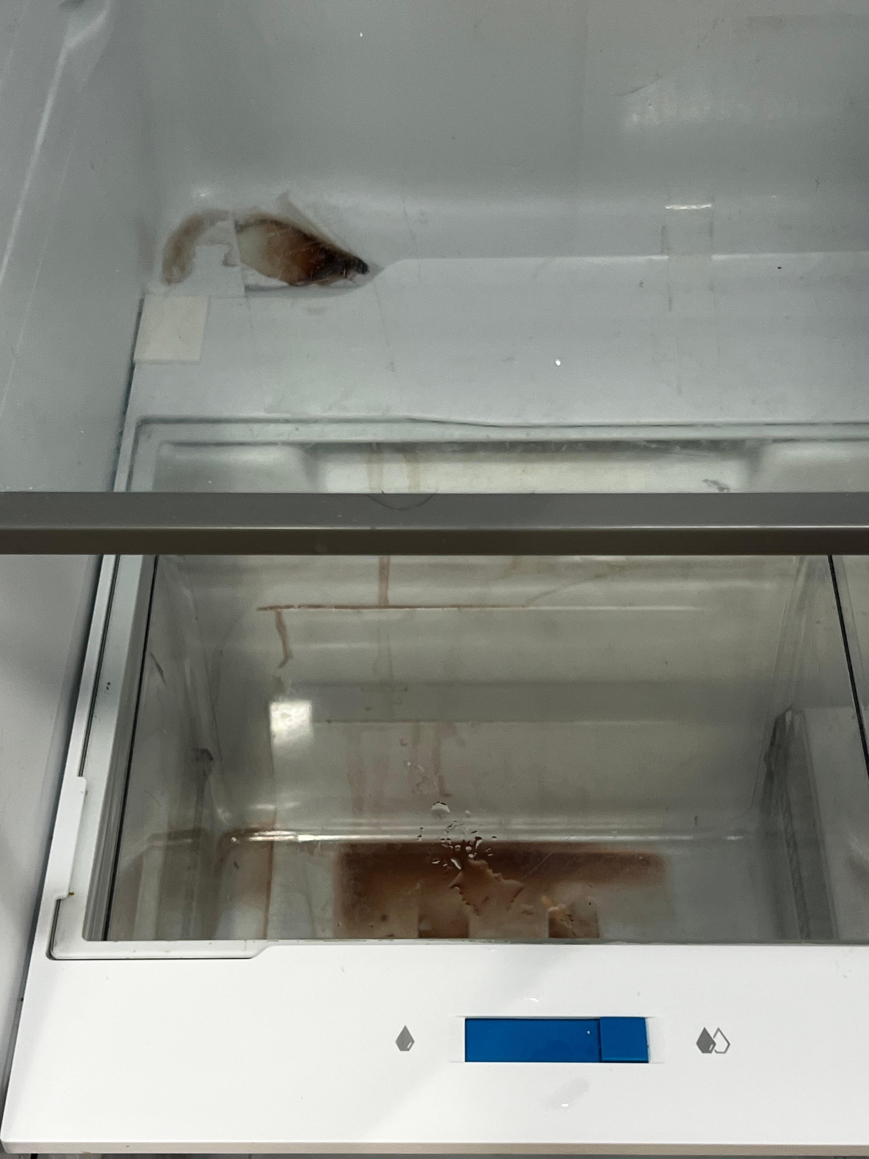 This is the filthy refrigerator 