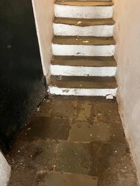 Entrée une infection