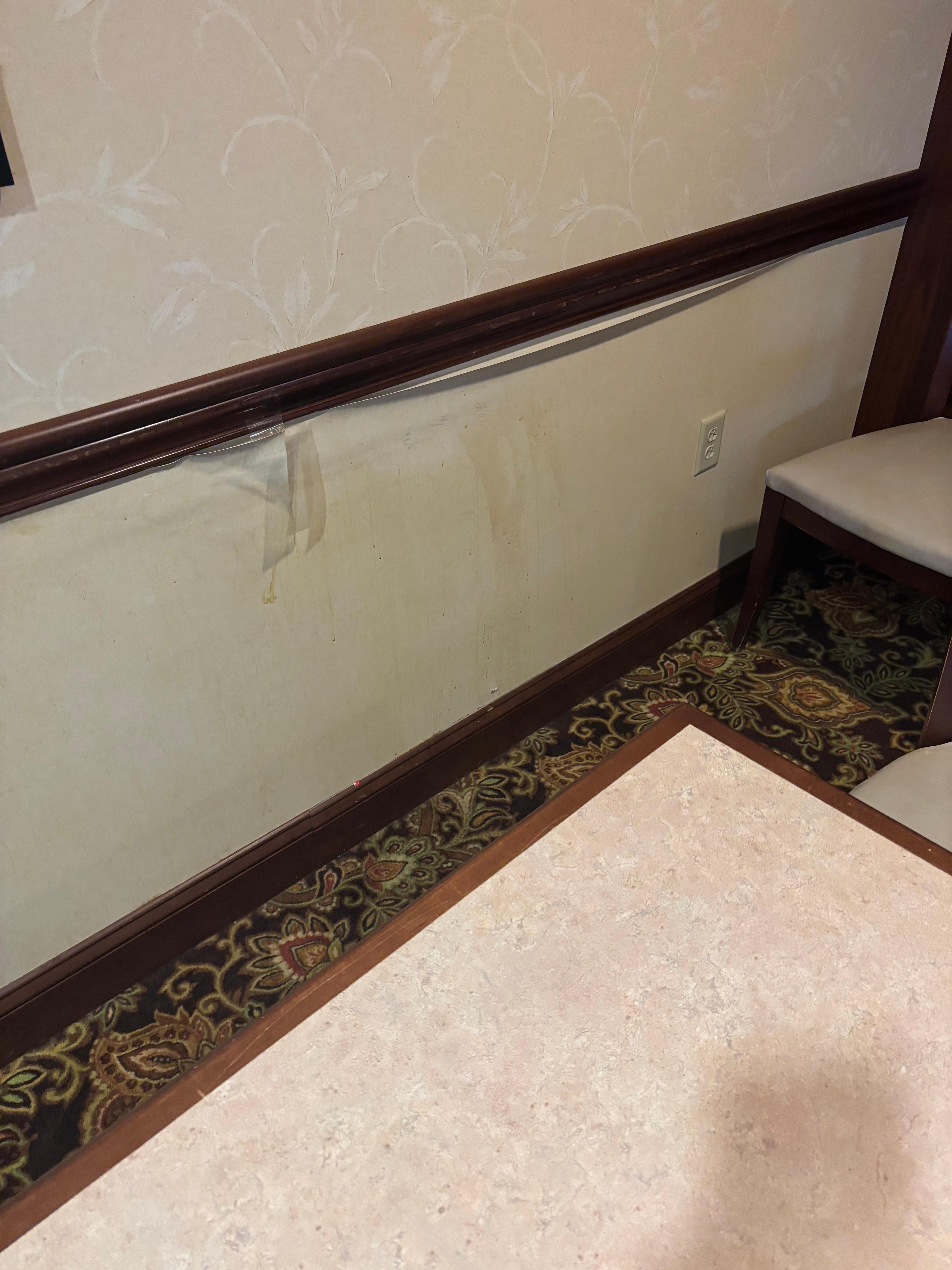 This is the wall where they serve breakfast