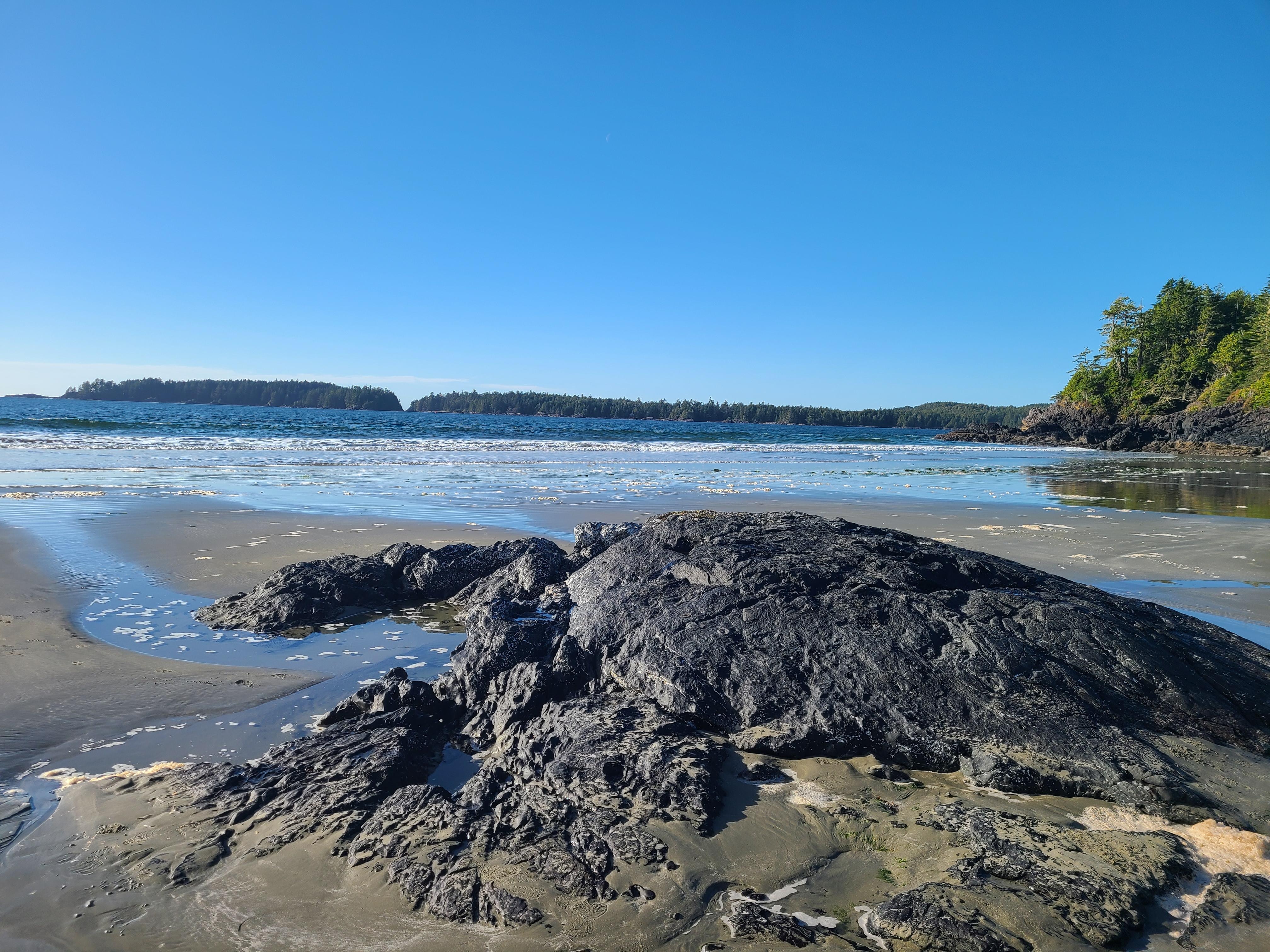 Middle Beach, looking north at low tide.