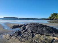 Middle Beach, looking north at low tide.